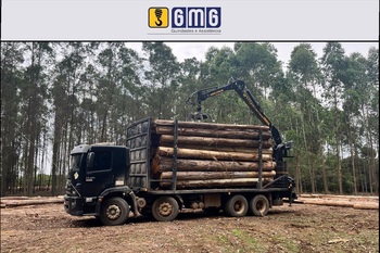 Gmg   sanig descritivo